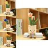 Adorable Tulip Succulent Plush Doll For Kids And Adults Unique And Lovely Design