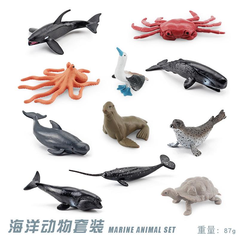 Realistic Ocean Animal Model Set Including Whales Dolphins Sharks Turtles Crabs And More For Educational Play And Decoration