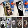 Irischer Wolfshund Hund Für Huawei P20 P40 P30 Lite P60 Pro Nova 12s 11i 12i 10 9 SE 5T Y91 Y90 Y60 Y70 Y72 Y61 Hülle
