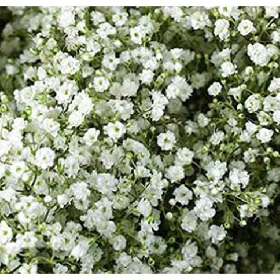 10 Branches (Pcs) Gypsophila Baby Breath Artificial Flower Bouquet, Approx. 900 Beautiful White Flowers for Wedding Bridal Party Home Floral