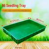Large Commercial Seedling Tray for Bean Sprouts and Vegetables