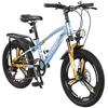 Forever Youth Mountain Bike