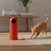 Gatos – Brinquedos para gatos