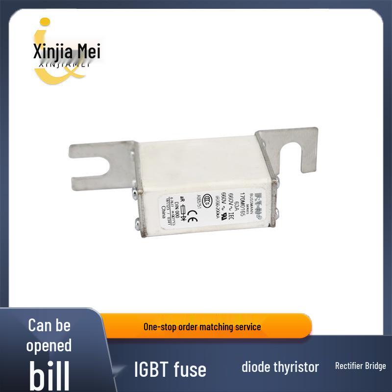 

170M0165, 170L7278, 170M1308 High-Voltage Fast-Acting Fuse Circuit Breaker Components Fast-Acting Fuse Model 170M0165