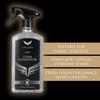 Car Gods Stain Interior Removes Stain and Stubborn Dirt from Car 500ml Eliminator, Care, Interiors, Easy-to-Use Spray,