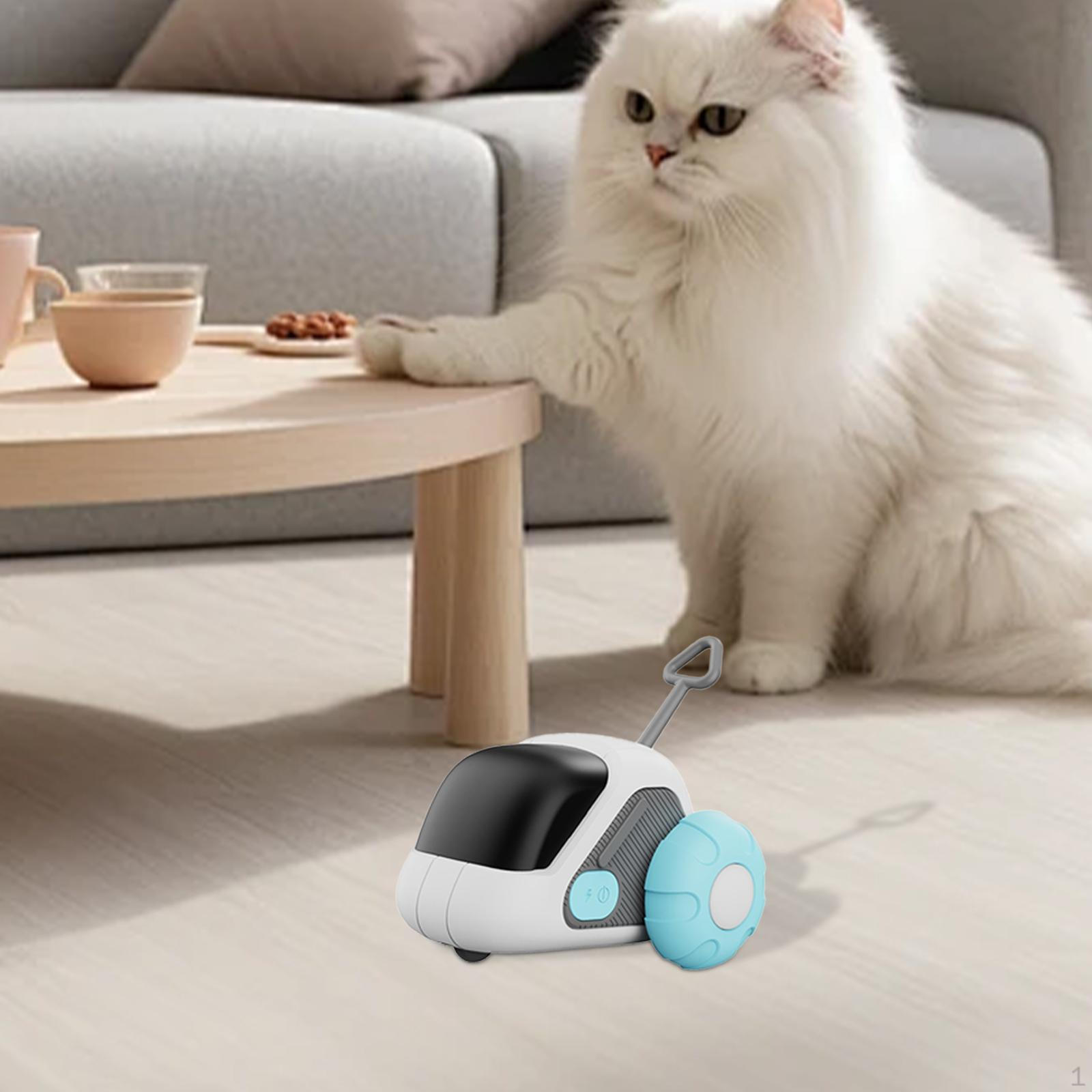 Rechargeable Blue