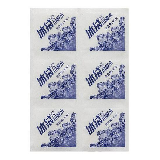 Eco-Friendly Reusable Ice Pack for Fresh Food and Seafood Delivery