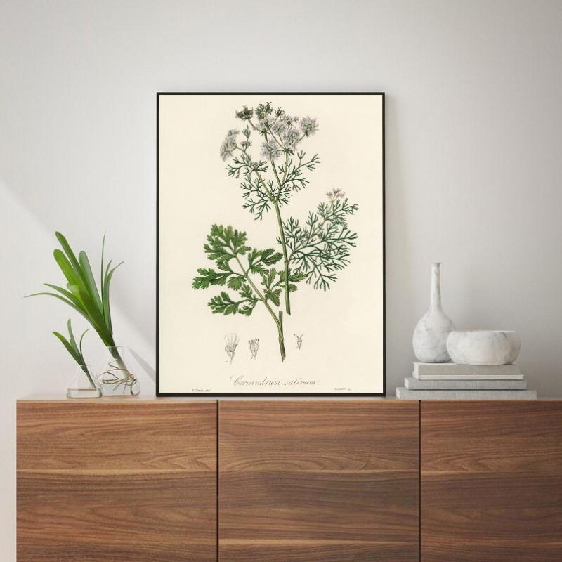 Botanical Fern Flower Poster Print Canvas Art Pictures Home for Living Room and Bedroom Wall Modern Decor Frameless Painting