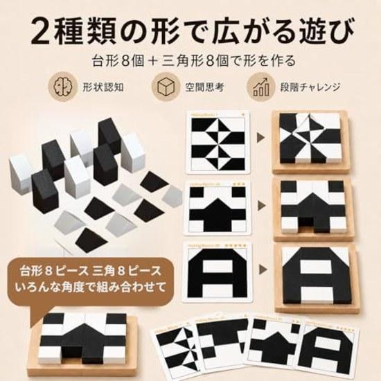 SF 2-color logic puzzle game black white 5 levels difficulty 80 questions educational toy brain training seniors