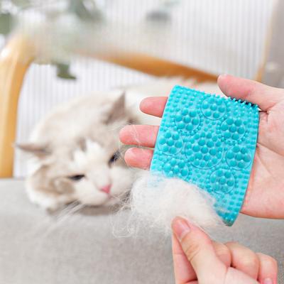 Gatos – Productos de aseo para gatos