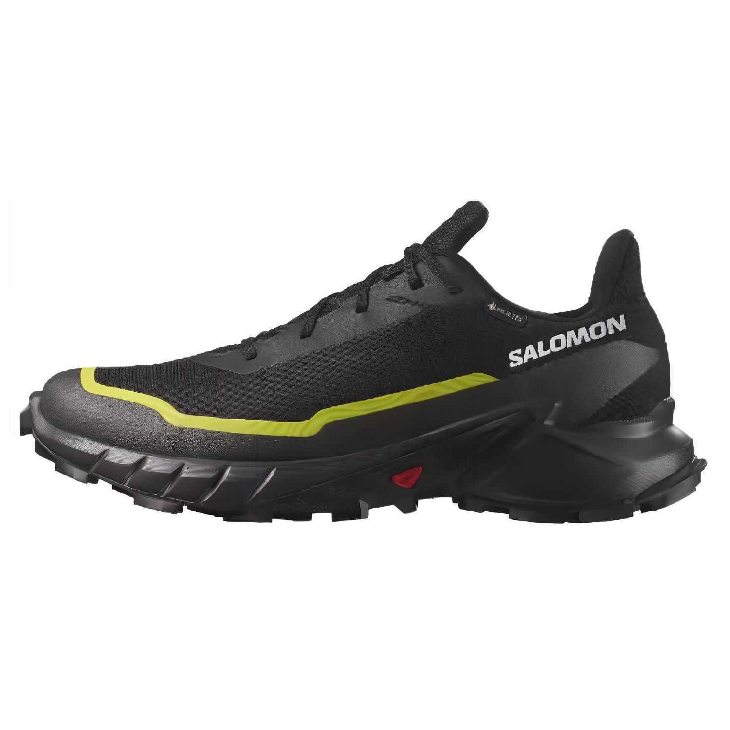 

SALOMON Alphacross 5 Gtx Black Yellow 474604 44⅔