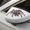 Hochwertige 3D Autoaufkleber mit coolen Spinnenmotiven für eine einzigartige Dekoration