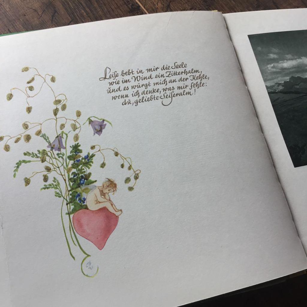 [USED] Foreign books, German picture books, vintage books, botanical