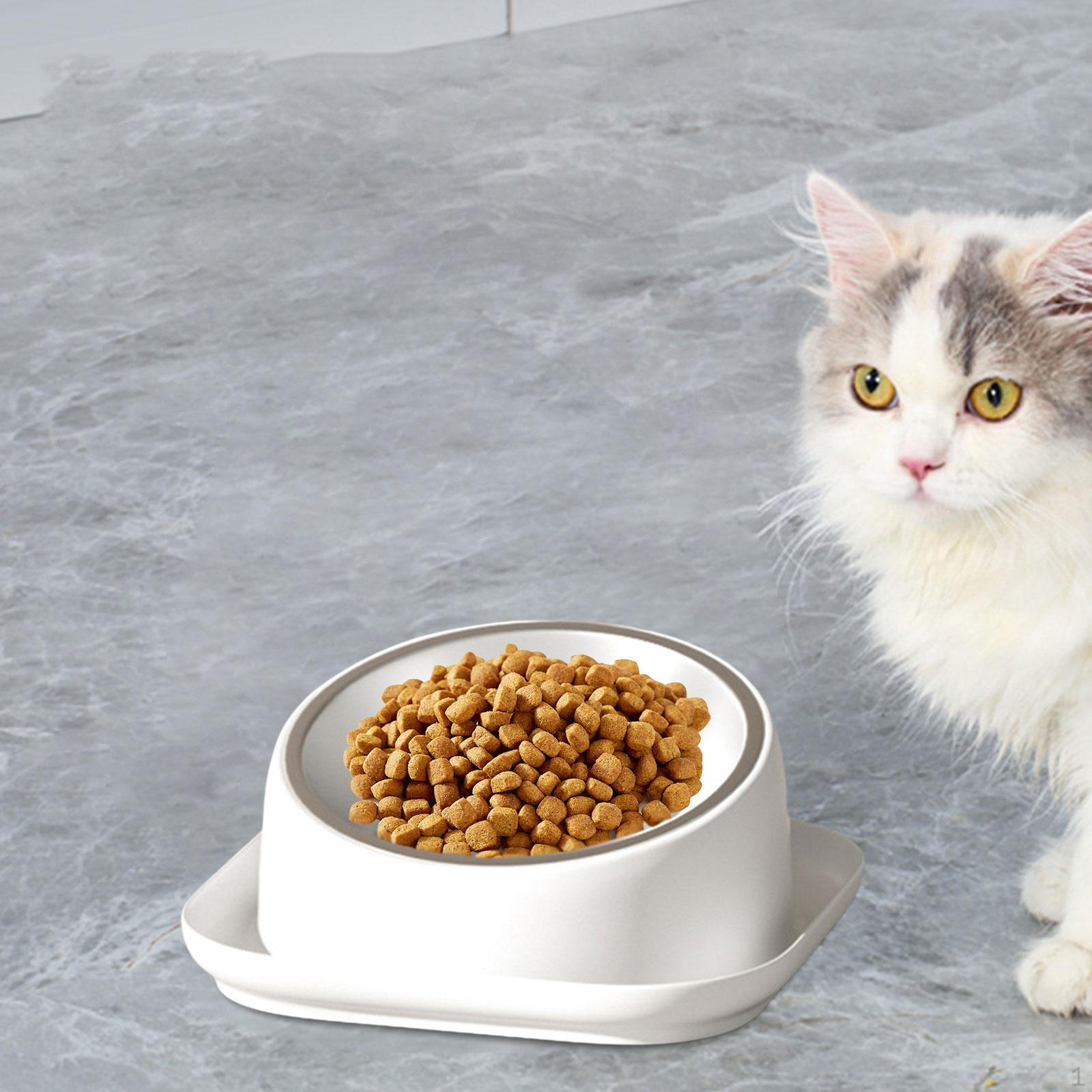 

Modern Stainless Steel Pet Dish Set for Small Animals білий