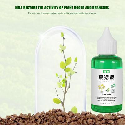 Stimulateur de Racine Plante Résurrection Liquide Engrais Végétal Liquide Booster de Racine Booster de Racine de Fruit Nutriments d'Enracinement