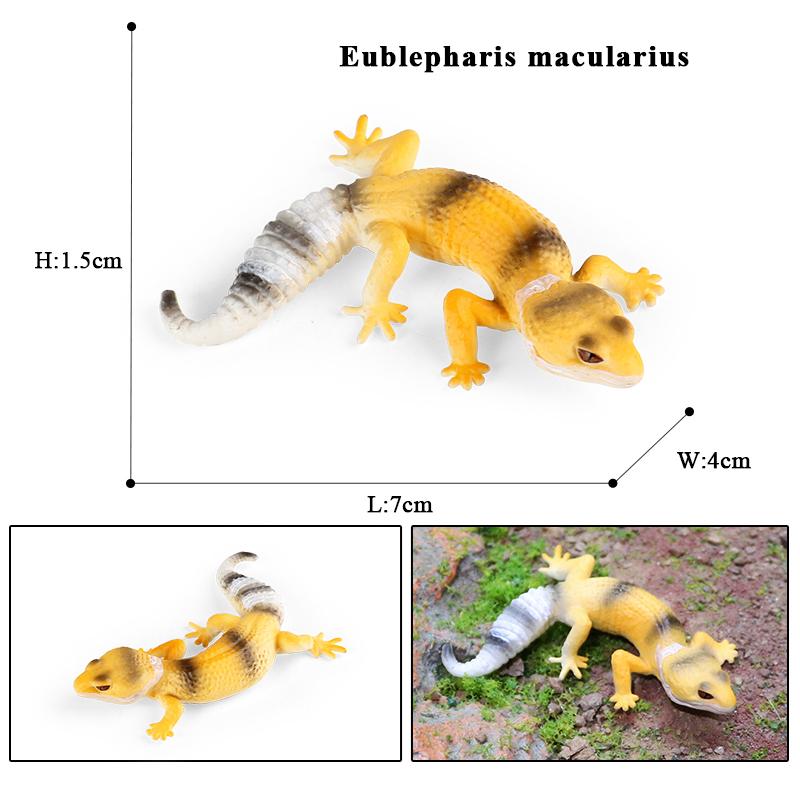 Oenux Simulation Reptile Lizard Chameleon Geckos Insect Animals Model Action Figure Collection Toys Kids Gift Home Decorations