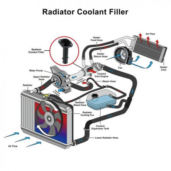 Pack(1) Radiator Coolant Filler Water Inlet Thermostat Housing For Toyota Camry