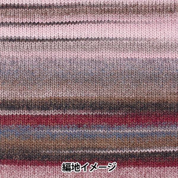 SKIYARN Yarn Color Autumn/Winter "Piaccio 702"