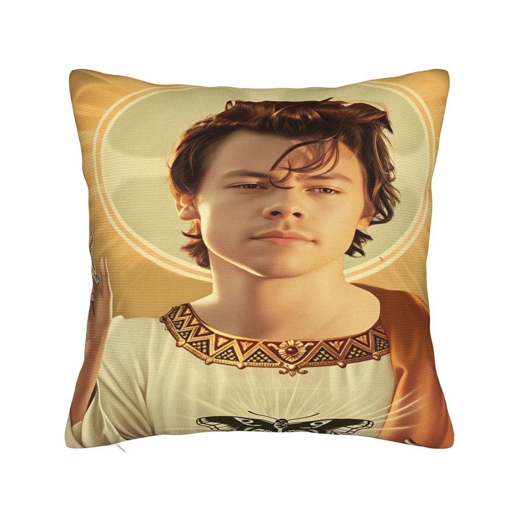 Singer H-Harrys S-Styles Pillow Case  Soft Pillow Cover For Sofa Car Home Decor Funny Cushion Cover