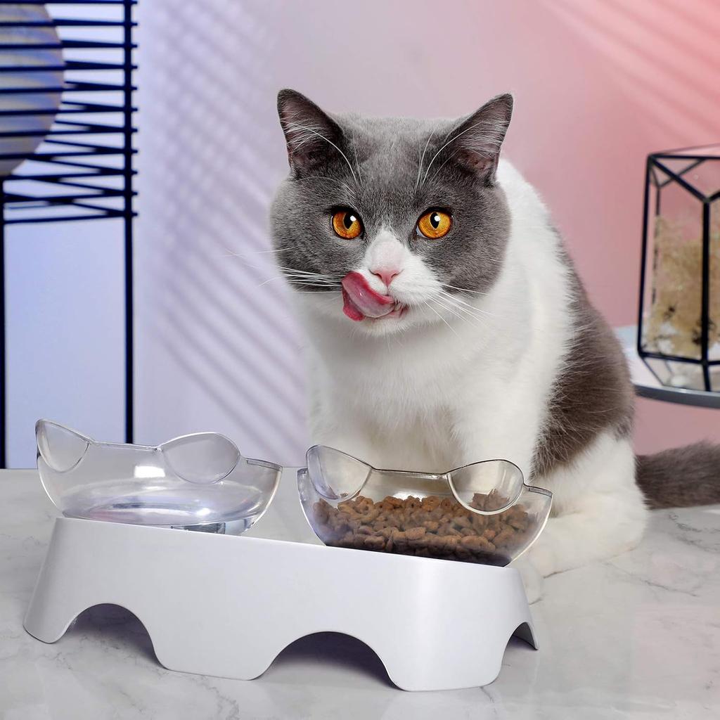 MILIFUN Cat Bowls, Cat Food Bowls Elevated Tilted, Anti Vomiting Kitty Bowl for Puppy and Bunny, Orthopedic for Indoor Cats.