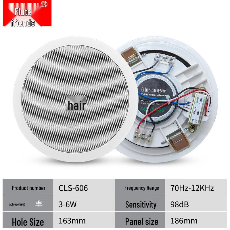 Diyou Embedded Ceiling Speaker & Amplifier System CN Plug (adapter Included) (CN Version)