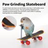 Vogel Papagei Spielzeug Skateboards Kunststoff Reptilien Unterhaltung Trainingswerkzeug Acc Vogelzubehör Rollschuhe