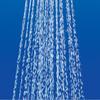 2842220J GROHE Tempesta 100 Hand Shower, Dual (Authorized GROHE Online Store, Compliant with Japanese Standards)