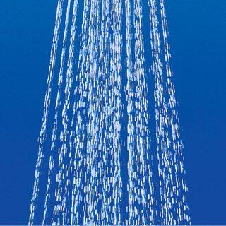 2842220J GROHE Tempesta 100 Hand Shower, Dual (Authorized GROHE Online Store, Compliant with Japanese Standards)