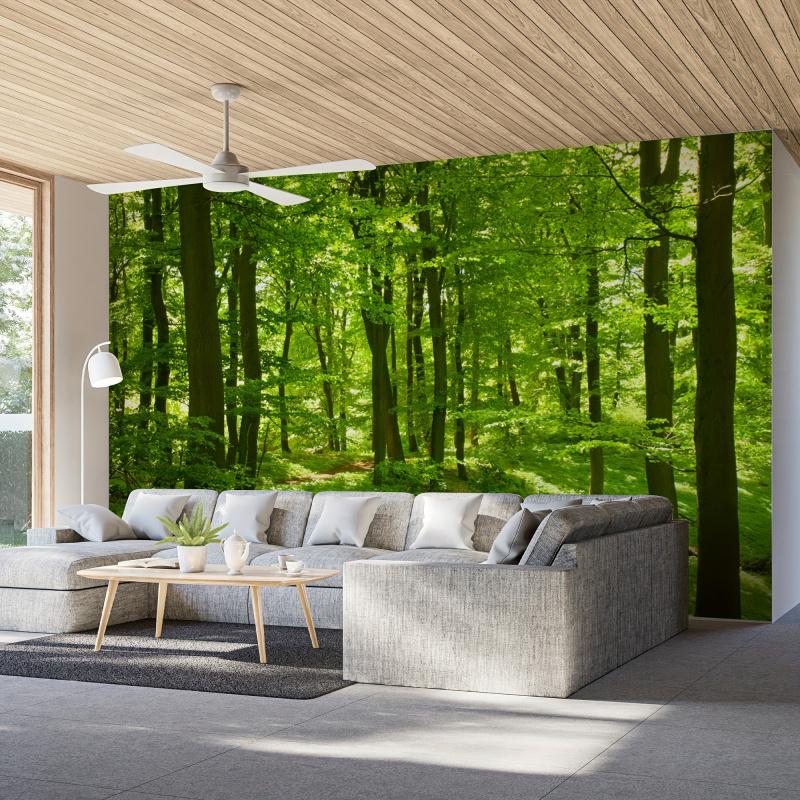 Healing Series Green Forest Forest Tapestry Living Room Bedroom Kitchen Wall Decoration Polyester Fiber Wall Hanging 100X70CM