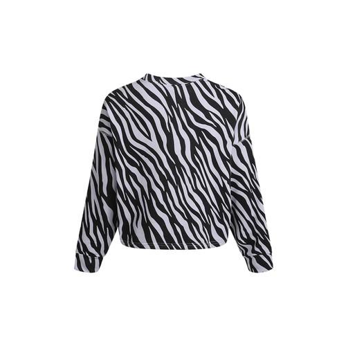 Nike Women's Casual Zebra Print Pullover Hoodie In Black