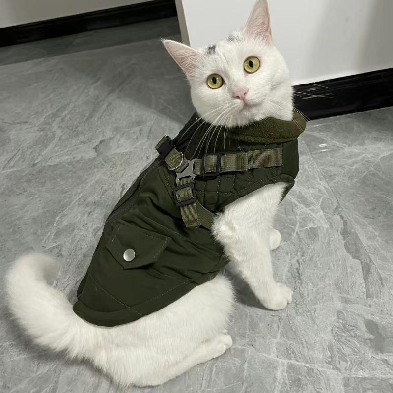 Reflektierende Sphynx Katze Kleidung mit Geschirr Zugfrei Warmer Haustiermantel Jacke für Katzen Gotas Kätzchen Garfield Outfit Hundekostüm
