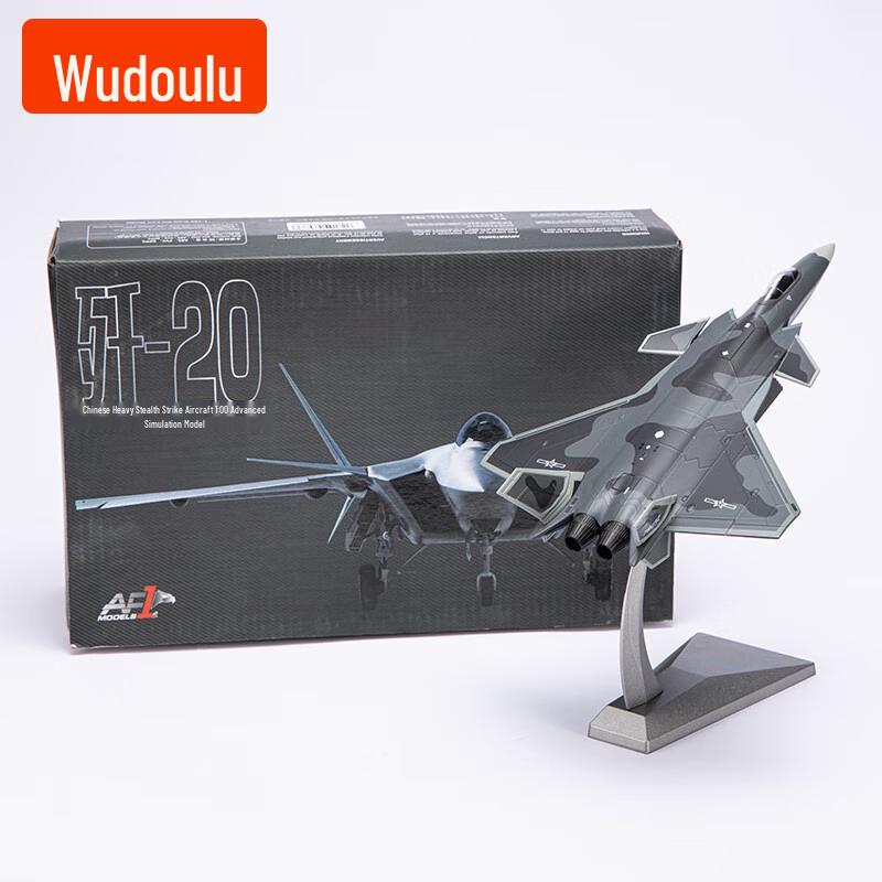 1:100 J-20 Fighter Jet Model