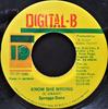 7inch Record SPRAGGA BENZ  Know She Wrong NONE DigitalB 1995 Jamaica Reggae Ska  Dub Used