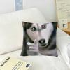 Cute Dog Funny Meme   Pillow Cushion Cover Pillowcase Living Room Sofa Home Decor Customized