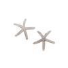Starfish Rhinestone Earrings: European-American Creative Five-Pointed Star Zircon Jewelry