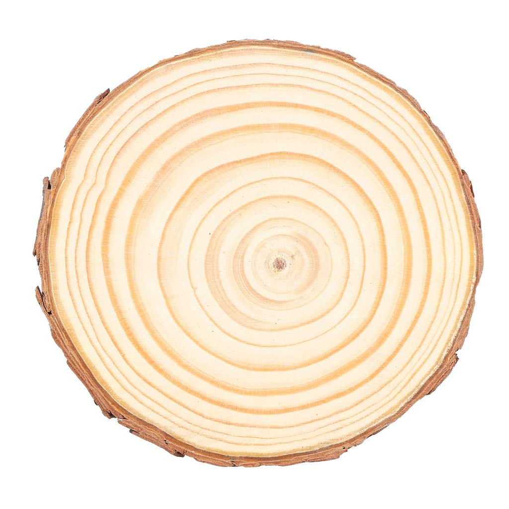 Natural Wood Slices Round Pine Logs DIY Crafts Painting Wedding Festivals Decoration5# 11-12cm