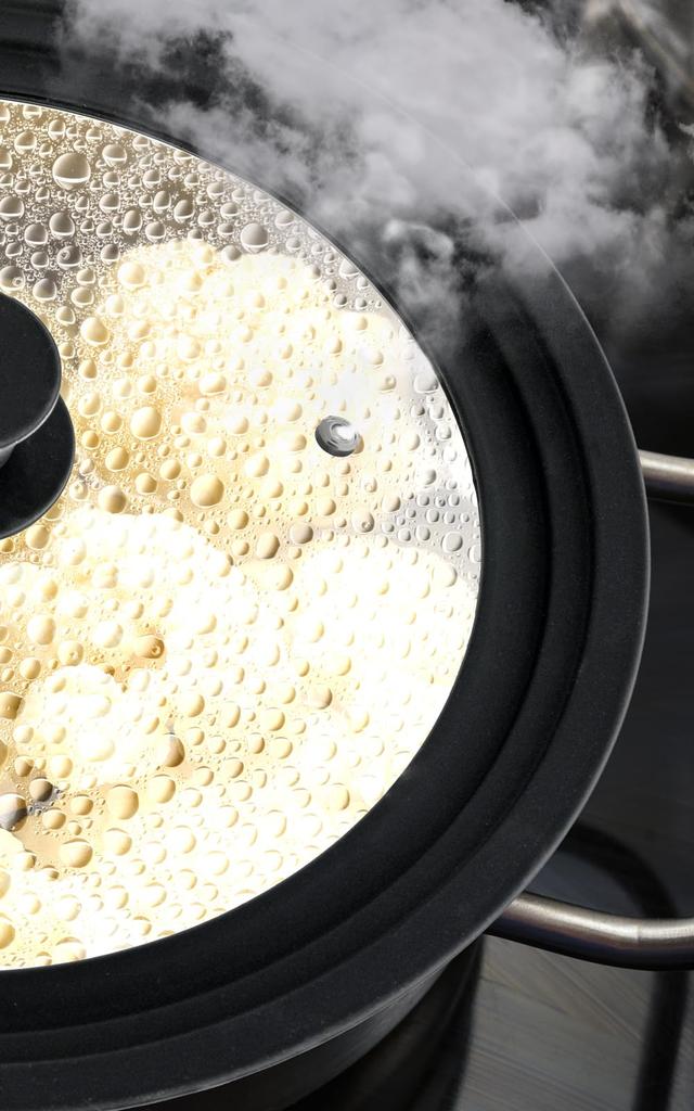 Every U. Glass Lid, Silicone Pot Lid, Frying Pan Cover, with Steam Vent, IH & Gas Compatible, PFAS-Free (Fits 26cm-28cm-30cm Pots)