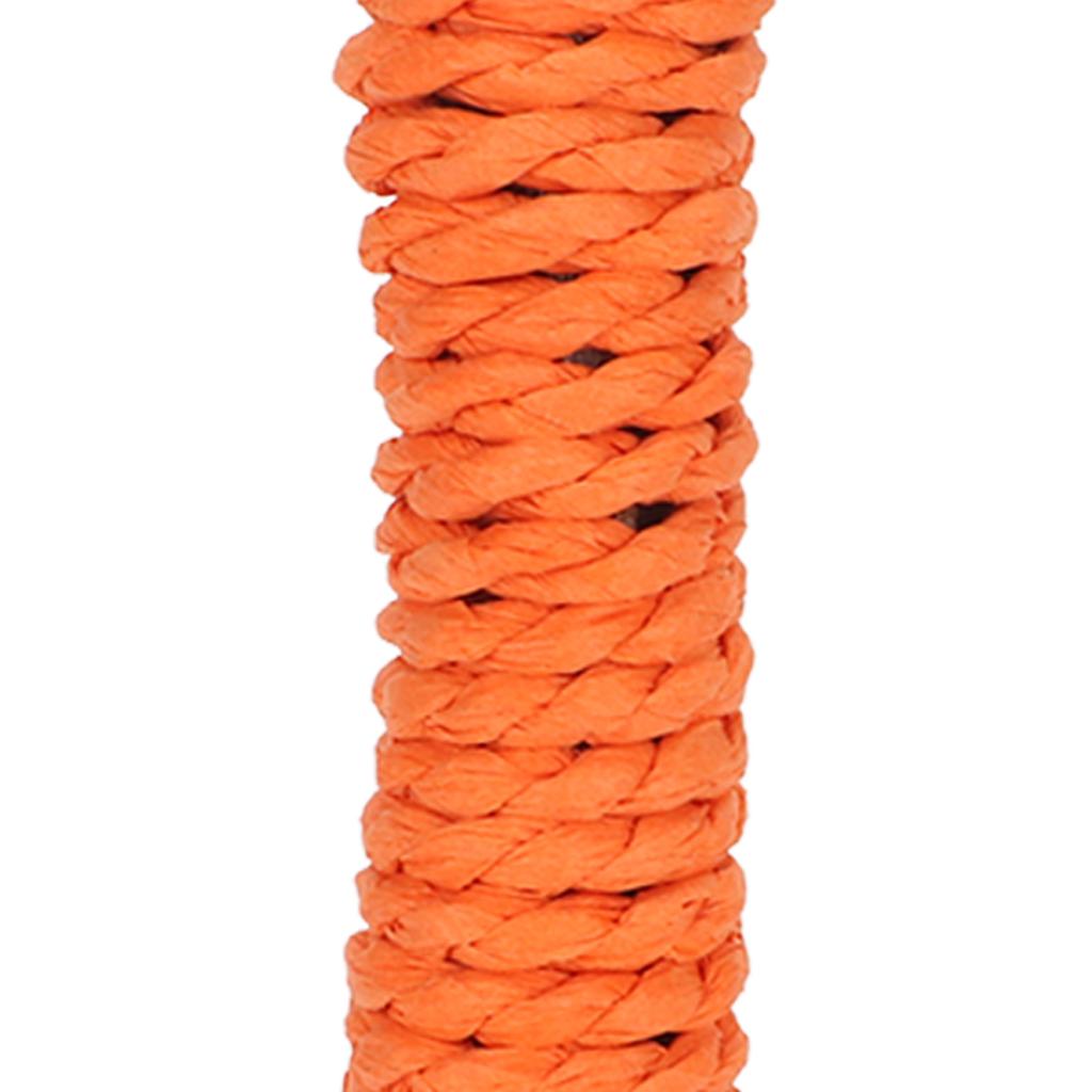 10Pcs Hamster Chew Sticks   Branches and Paper Rope Woven Wooden Hamster Bite Toys for   Hamster Chinchilla