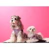 Dog Dresses for Small Dogs Party Sequins Velvet Dress for Dogs Girl Puppy Birthday Wedding Christmas Outfit Soft Pet Apparel Cute Chihuahua
