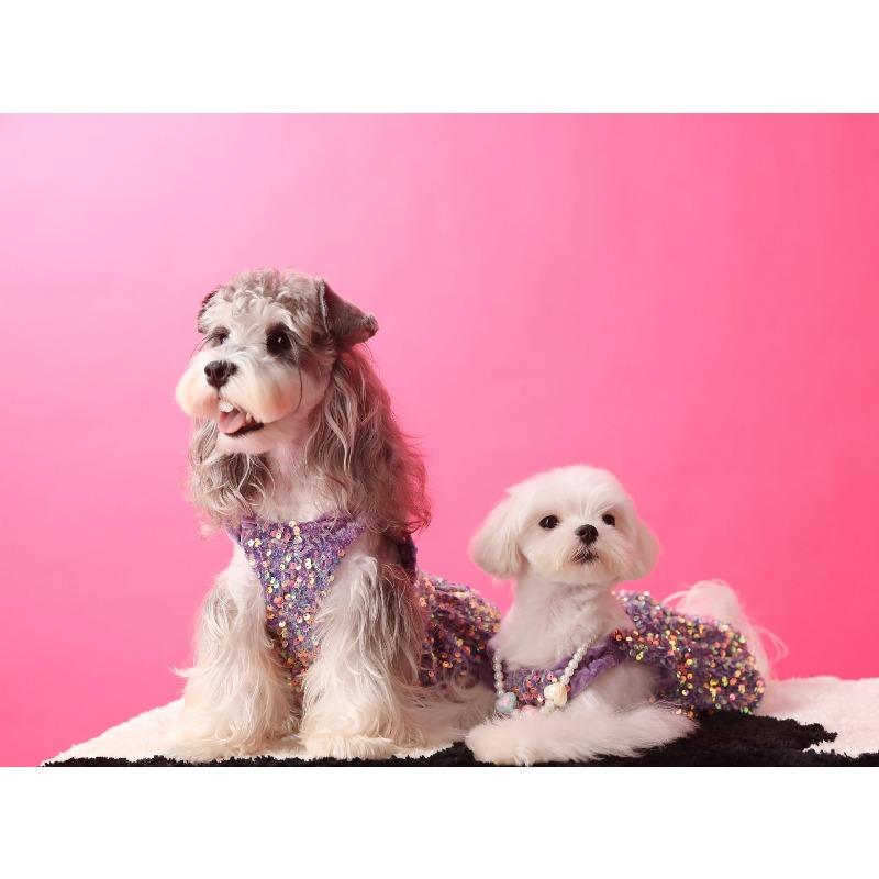 Dog Dresses for Small Dogs Party Sequins Velvet Dress for Dogs Girl Puppy Birthday Wedding Christmas Outfit Soft Pet Apparel Cute Chihuahua