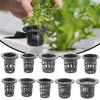10Pcs/Lot Black Planting Net Pot Hydroponic Plant Grow Fixed Root Cups Vegetable Soilless Clone Mesh Pots Planting Basket