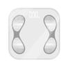 BORO Smart Body Fat Scale (CN version)