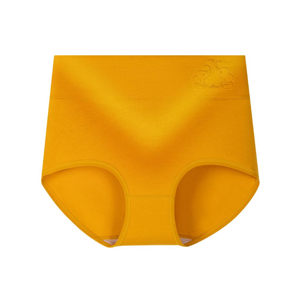 Plus Size Women's Pure Cotton 10A Antibacterial Cotton Crotch High Waist Tuck Briefs