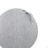 Balance Ball Cover for Pilates And Yoga, 55cm Sitting Protector Home Office