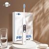 Bo Hao T36 Rechargeable Sonic Toothbrush for Adults CN Plug (adapter Included)