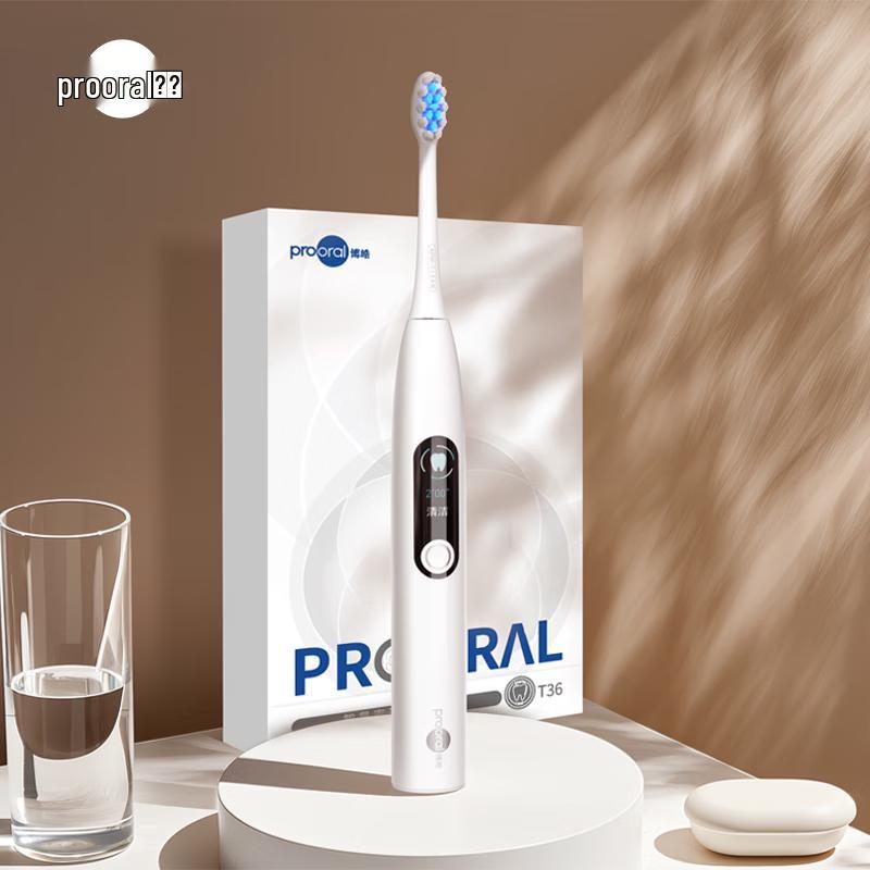 Bo Hao T36 Rechargeable Sonic Toothbrush for Adults CN Plug (adapter Included)