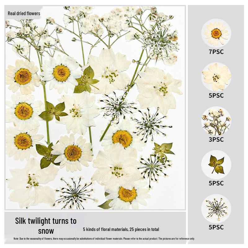 Handmade Resin Pressed Flower Bookmark DIY Kit: Transparent Specimen Stickers & Dried Flowers for Students