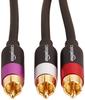 Amazon Basics RCA Audio Cable M RCA Male 2 RCA Black 2.4 (1 - Male)