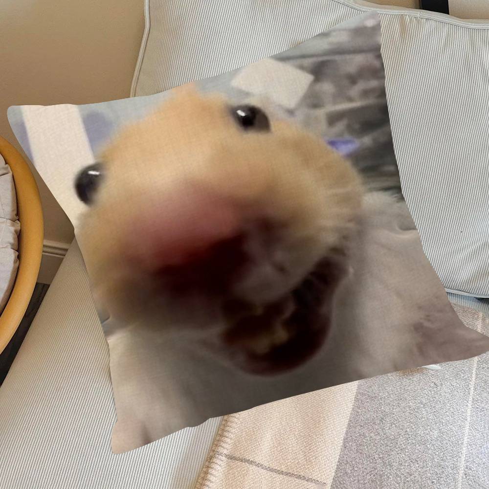 Funny Sad Hamster Emoticon   Pillow Cover for Bedroom Room and Living Room Sofa Decorative Cushion Cover