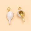 Ocean-Themed Stainless Steel Seashell Conch Pendant Jewelry Accessories